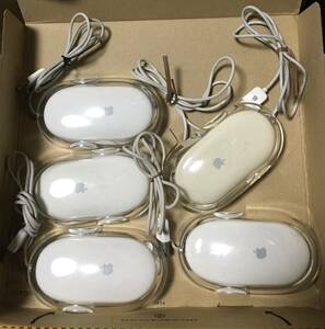 【Apple純正5個セット】 Mouse USBマウス M5769 スケルトン