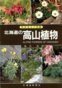 北海道の高山植物 野外見分け図鑑/梅沢俊【著】