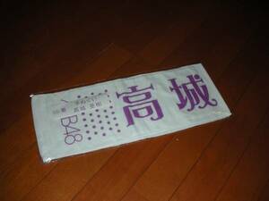 AKB48 セブンイレブン1番くじ65番高城亜樹　手ぬぐい