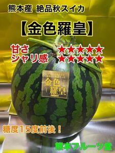 終盤！熊本産秋スイカ【金色羅皇】秀品3Lサイズ（1玉8〜9kg）熊本フルーツ堂91