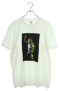 シュプリーム SUPREME 21SS Raphael Tee サイズ:L タートルズプリントTシャツ 中古 SB01