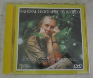 DVD「ジェン・グドール 我が愛しのチンパンジー」ナショナル・ジオグラフィック/National Geographic JANE GOODALL