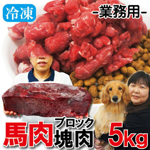 塊肉5kｇ端切れ馬肉　業務用　冷凍ブロック【ペットフード】【ドッグフード】【馬肉切落し用】【犬用】【猫用】【キャットフード】【生肉】