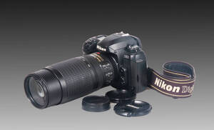 Nikon D100 ニコン デジタル一眼レフカメラ・Nikkr70-300mm手振れ補正付