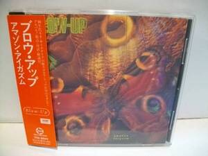 BLOW UP ブロウ・アップ AMAZON EYEGASM ネオサイケ CHERRY RED　帯付 CD