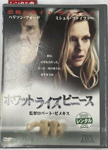 【送料無料】dx13771◆ホワット・ライズ・ビニース/レンタルUP中古品【DVD】