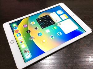 Apple iPad 第5世代 32GB Wi-Fi A1822(MP2G2J/A)シルバー/動作品/難あり/ジャンク扱い