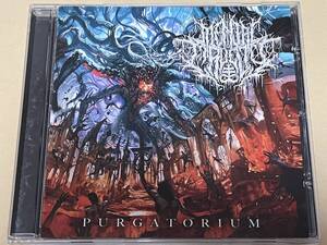 MENTAL CRUELTY/PURGATORIUM/デスコア/LORNA SHORE/ENTERPRISE EARTH/AVERSIONS CROWN/DISTANT/ANALEPSY/VULVODYNA