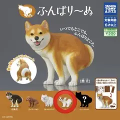 ふんばり〜ぬ ジャックラッセルテリア