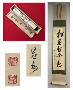 【千寿】大徳寺派 祥瑞寺 竹田益州 松無古今色 一行 紙本 d427◆箱/茶道具/古美術/時代品/掛軸/100020019