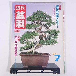 月刊 近代盆栽 No.81 1984/7 近代出版 雑誌 盆栽総合誌 園芸 ガーデニング 植物 特集・盆栽の常識とタブー さつき・花後の剪定 ほか