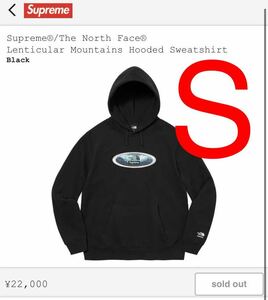 Supreme North Face Lenticular Mountains Hooded Sweatshirt シュプリーム ノースフェイス レンチキュラーマウンテン スウェット パーカー