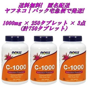 送料無料! 【 250粒 × 3個 ( 計 750粒 ) 】 sustained release ビタミンC 1000mg NOW : ローズヒップ配合 徐々に放出される徐放タイプ