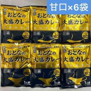 おとなの大盛カレー 甘口 レストラン仕様 250g×6袋セット