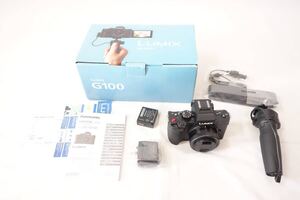 【美品】 Panasonic パナソニック LUMIX 標準ズームレンズキット DC-G100V DC-G100V-KJ