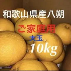 和歌山県産 八朔 10kg 大玉