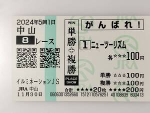 ニューツーリズム イルミネーションジャンプステークス 11/30 応援馬券 がんばれ馬券 中山競馬場 現地購入馬券 JRA