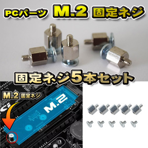 【パーツ固定ネジ】 PCパーツ M.2 固定ネジ 5本セット シルバー 【管理番号ネジ11SL】