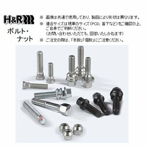 H＆R 60度テーパーボルト (20本) M12×1.5 首下43mm 17HEX ブラック　1254301SW