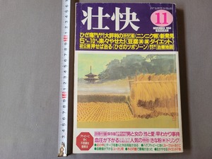 1994年11月号 壮快 別冊付録なし　ニンニク卵新発見　豆腐ダイエット　ほか　マキノ出版　/E