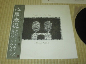 見本盤 アンディ・サマーズ & ロバート・フィリップ ANDY SUMMERS ROBERT FRIPP 心象表現 I ADVANCE MASKED キング・クリムゾン ポリス