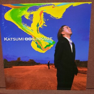 ■T13■ KATSUMI のアルバム「LINKAGE」