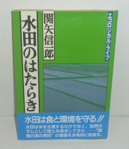 水田1992『水田のはたらき エコロジカル・ライフ』 関矢信一郎 著