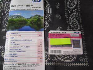 [送\0～] ANA 全日空 株主優待券 登録用パスワード通知可 2025年5月31日まで