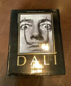 Dali 絵画集