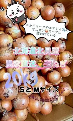 北海道北見産 玉ねぎ 20kg SとMサイズ混合