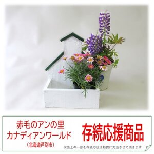 ミニプランター 手作り木工品・ハンドメイド・ガーデニング・インテリア・ナチュラル・園芸用什器 赤毛のアン