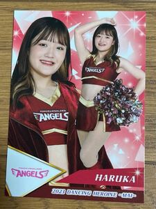 HARUKA はるか 楽天イーグルス★BBMプロ野球チアリーダーカード 舞19