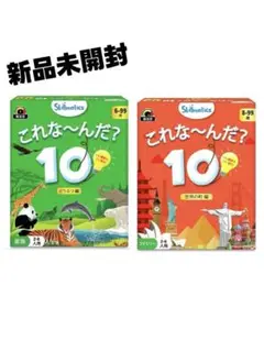 『新品未開封』これな〜んだ？10 どうぶつ編 6-99歳 世界の町編 8-99歳