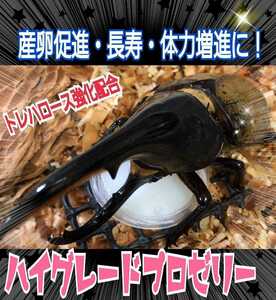 極上！ハイグレード　クワガタゼリー　カブトムシゼリー【500個】トレハロース強化！産卵数アップ、長寿効果に！食べやすいワイドカップ　