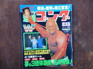 週刊ゴング　1990　2月No.294　天龍源一郎　サムソン冬木　浜口組　蝶野　キューティ　藤波辰巳　昭和　プロレス　新日本　全日本　WWF