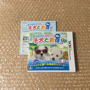 3DS オシャレでかわいい子犬と遊ぼ！海編 送料180