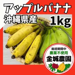 【お試しに】沖縄県産アップルバナナ1kg　出荷見込み日：2025年1〜2月