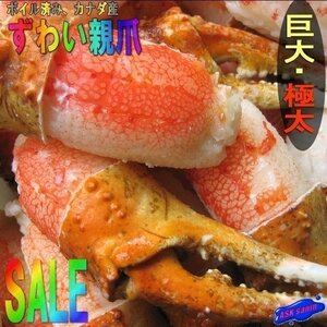 美味です!!「ずわい蟹親爪LA-1kg」(1パック36-40本入り)AA級品...食べやすい、リングカット