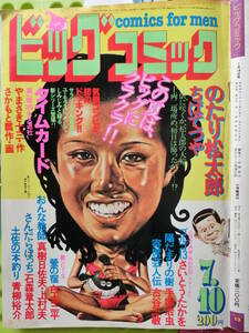 ビッグコミック 1981/ 7/10日号 城戸麻亜子19才 城戸真亜子,東京農業大学,原由子25才,宇崎竜童35,大胆な水着,マッド・レスリング,草刈正雄