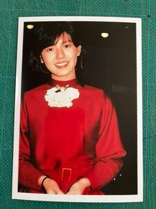 【レア】南野陽子　写真　赤ドレス　お嬢様　スレンダー　昭和タレント　80年代アイドル 