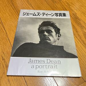 ジェームスディーン　james dean 写真集　ROY Schatt