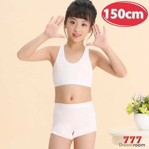 kids スポーツブラ 上下set 【150cm】 ブラトップ＋ショーツ スポーツブラ ファーストブラジャー 子供 女の子 下着 K-283-09