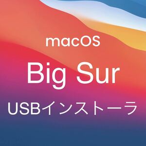 mac OS Big Sur 11.7.10 インストールUSBメモリ 起動ディスク インストーラー