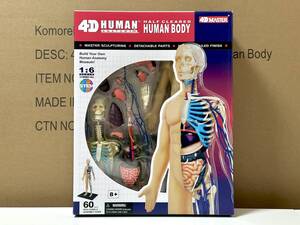 新品未開封 4D立体パズル 13インチ 人体(半分クリア) 解剖モデル 626203 13 inch Half Cleared Human Body Anatomy Model 知育玩具 STEM