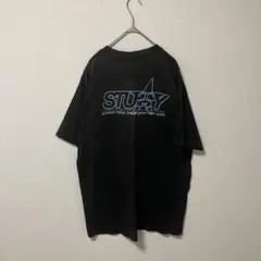 紺タグ　USA オールドSTUSSY 半袖Tシャツ　Lサイズ　シャネルロゴ