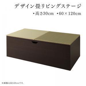 日本製 収納付きデザイン畳リビングステージ そよ風 そよかぜ 畳ボックス収納 60×120cm ダークブラウン グリーン