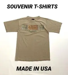 90’s USA製 ビンテージ スーベニアTシャツ ザイオンキャニオン 国立公園