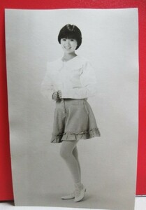 酒井法子 ブロマイド(サイズ約13.5x8.5㎝)/検;プロマイド歌手タレント生写真アイドル女優