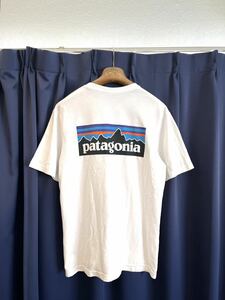 ☆patagoniaパタゴニア☆半袖プリントTシャツ定番バックロゴプリントS