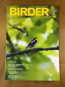 BIRDER バーダー 2007年5月号★鳥たちの恋愛事情｜求愛術,繁殖,求愛ダンス★シギ/ チドリ/ カワウ/ ハイタカ